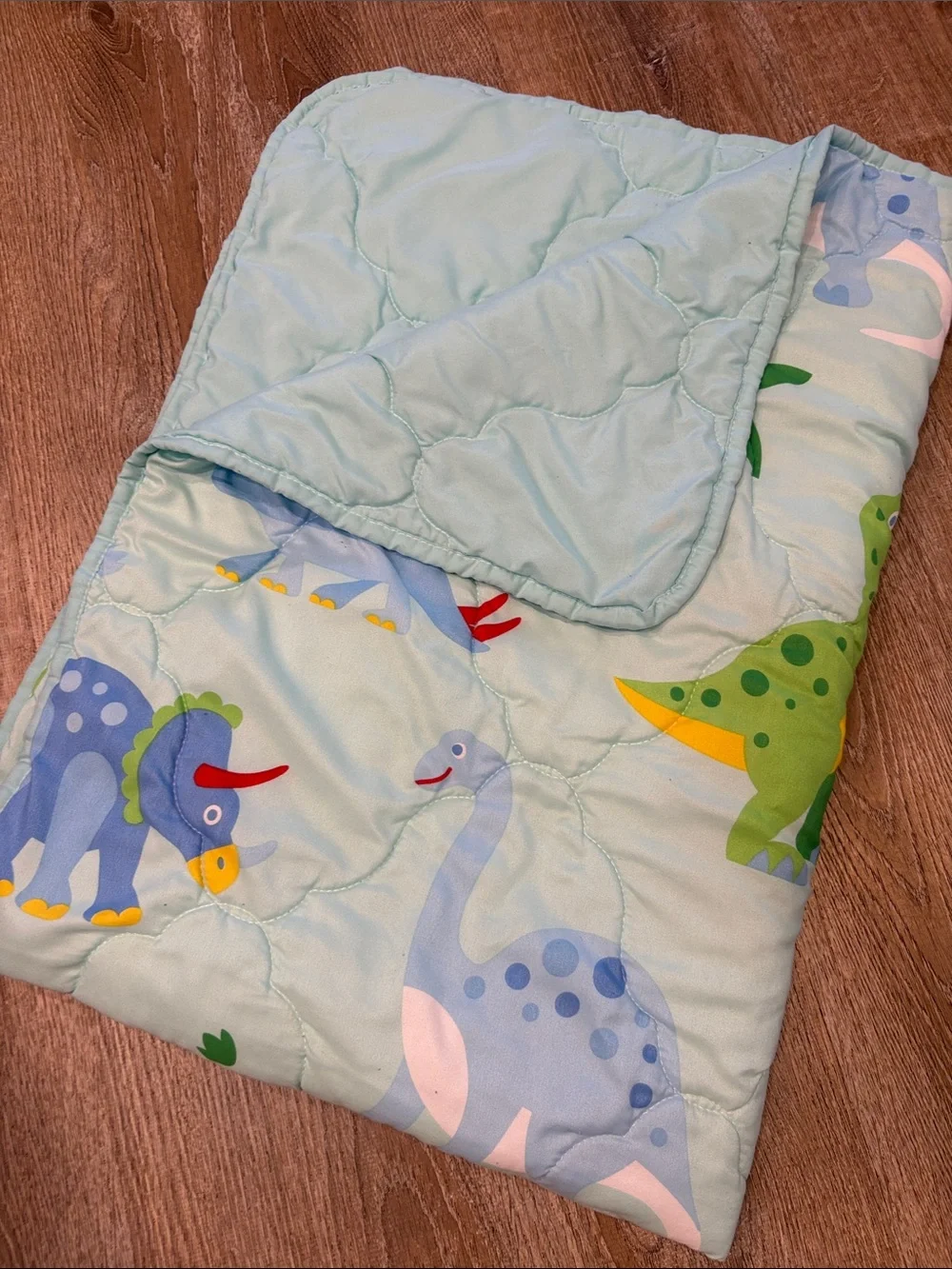 Dinosaur Print Crib Quilt and Pillow Case